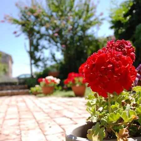 Bed & Breakfast Corte Bussari